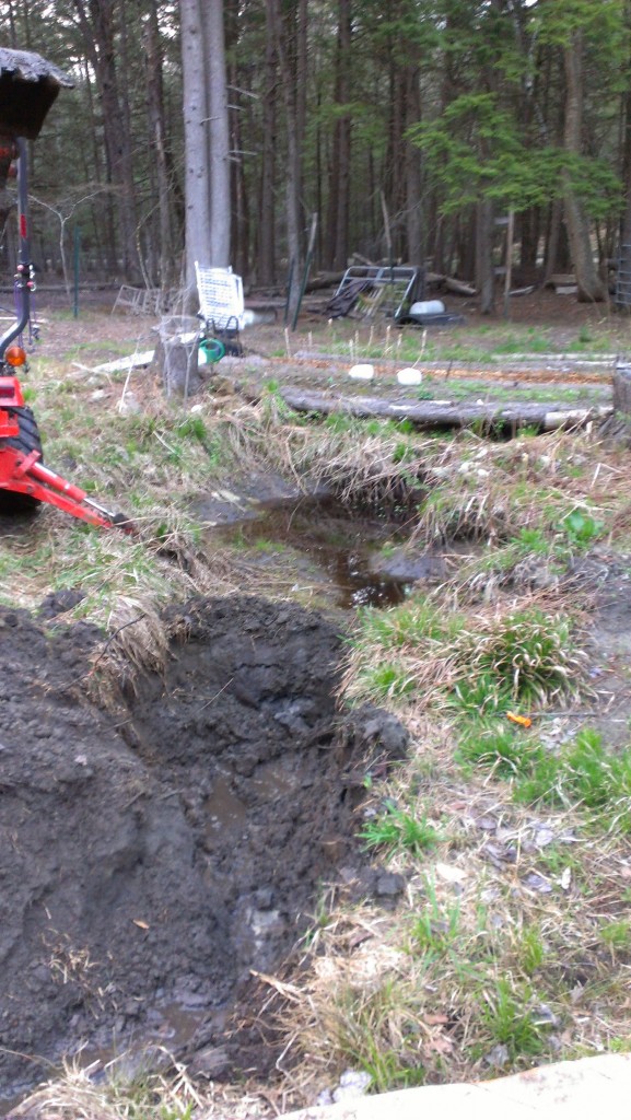 New end and old pond