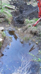 The small pond that needs a rescue.