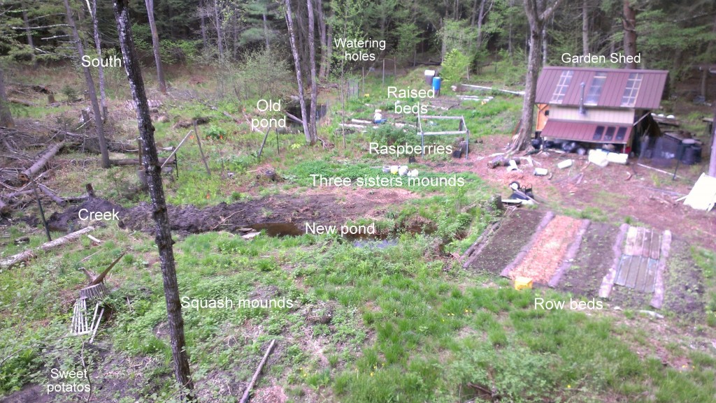 Garden annotated